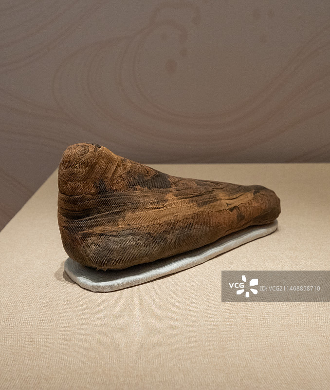 意大利都灵埃及博物馆藏古埃及鹭鸶木乃伊图片素材