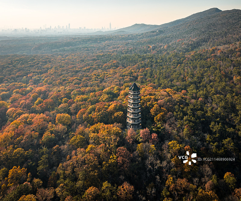 秋日的南京紫金山，灵谷塔，航拍图片素材