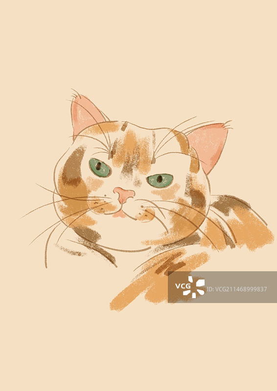 手绘猫咪图片素材