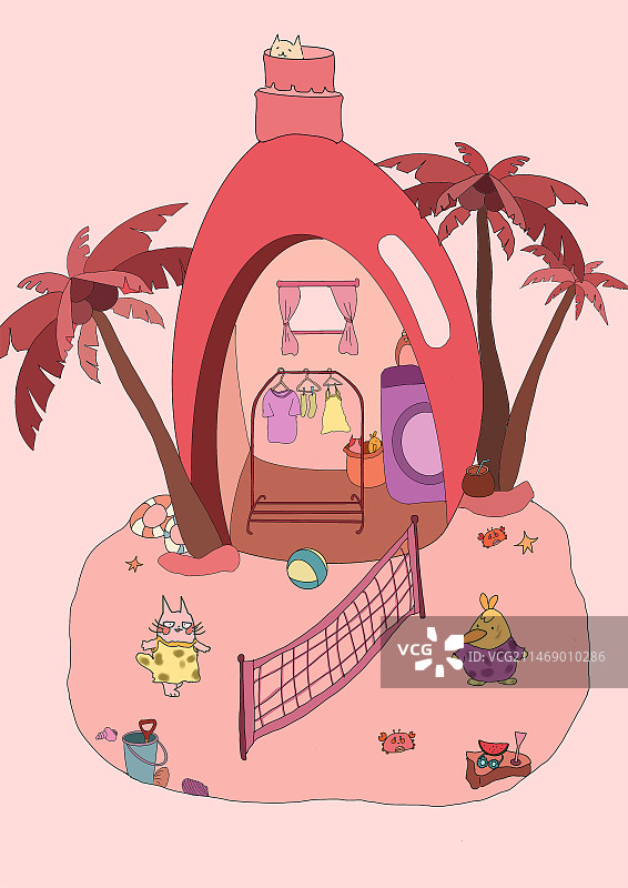 沙滩动物图片素材