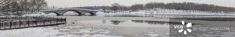 冬雪中的南海子公园全景图片素材