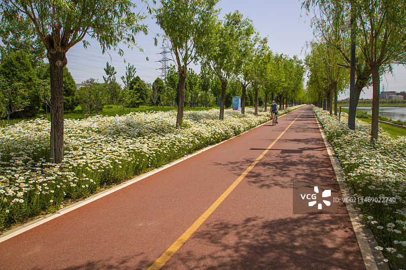 凉水河边滨河公园图片素材