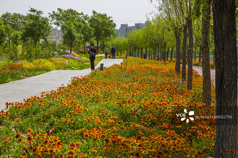 凉水河边滨河公园图片素材