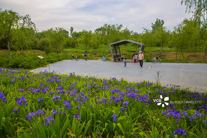 凉水河边滨河公园图片素材