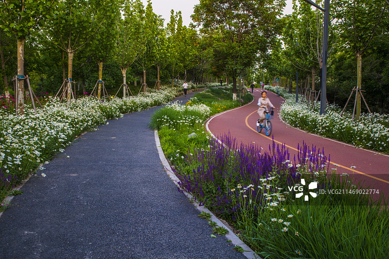 凉水河边晨练图片素材