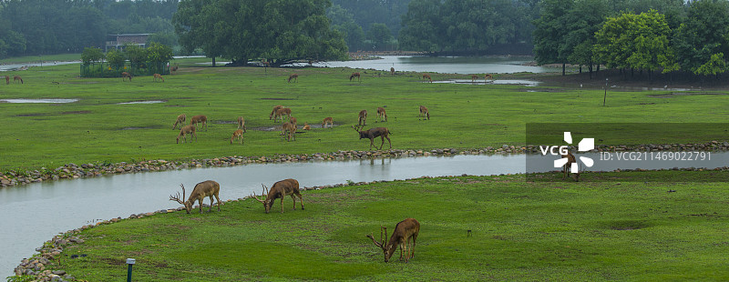 南海子麋鹿苑全景图片素材