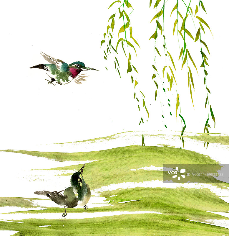 柳树与小鸟图片素材