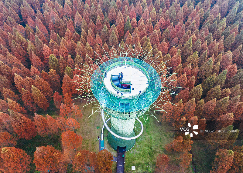 黄海森林公园森林之眼，江苏盐城东台图片素材