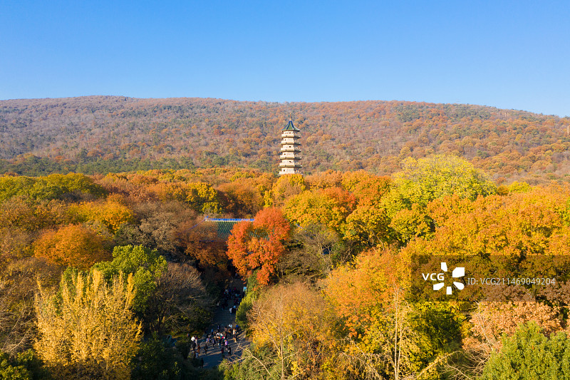 江苏省南京市中山风景区灵谷塔秋色风光图片素材