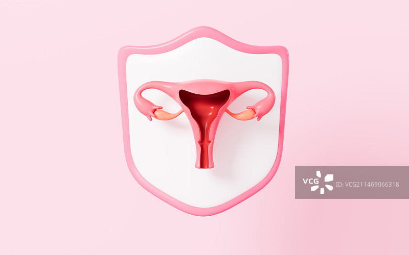 女性子宫解剖图与盾牌保护3D渲染图片素材