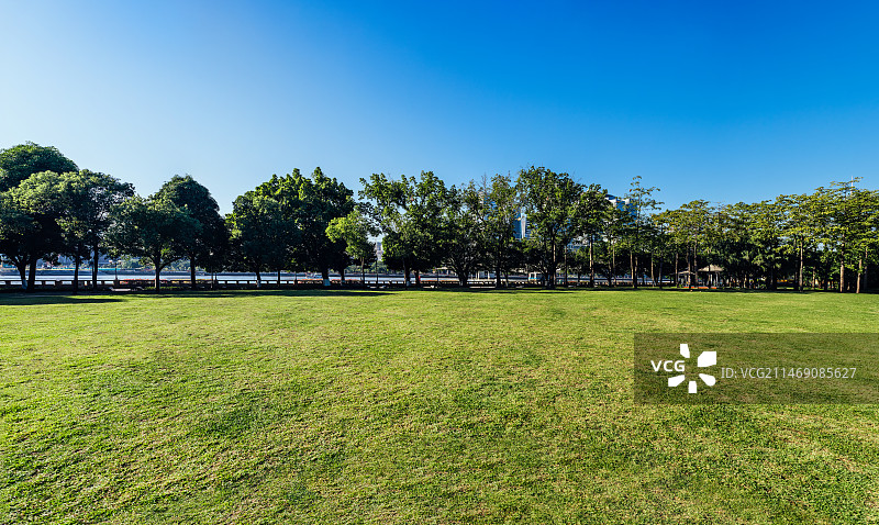 广州珠江新城临江带状公园草地图片素材