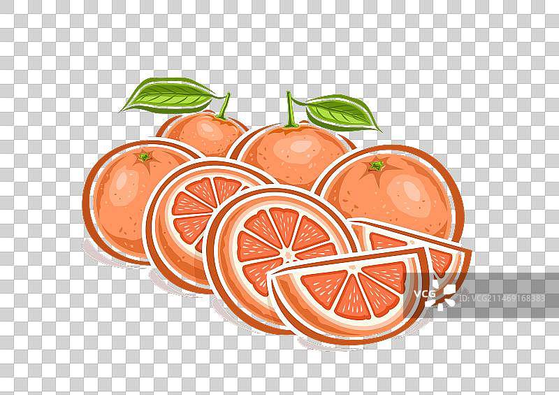 葡萄柚Logo设计图片素材