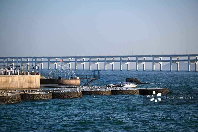 星海广场喂海鸥图片素材
