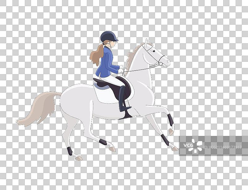 女孩参加灰色小马比赛图片素材