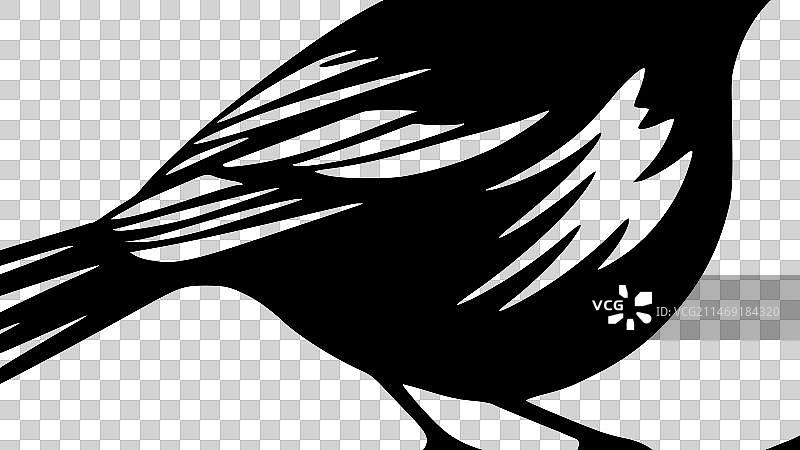 鸟 - 简约剪影图片素材