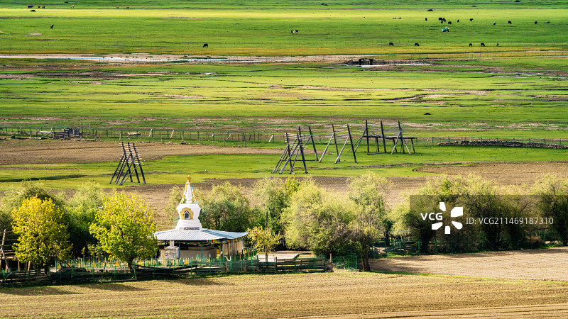 纳帕海牧场图片素材