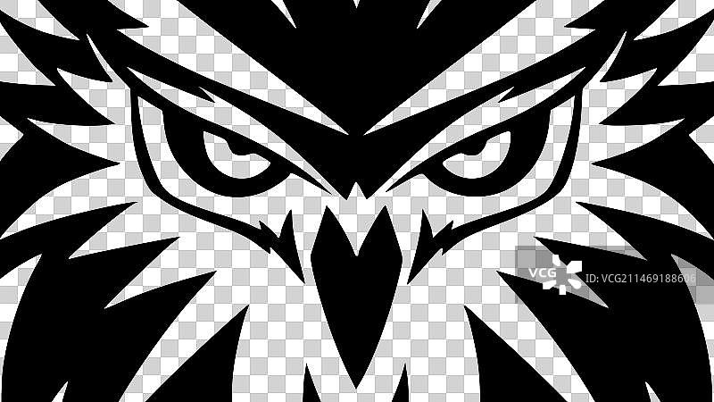 猫头鹰——黑白相间图片素材