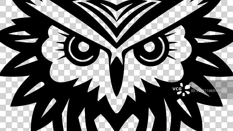 猫头鹰——黑白相间图片素材