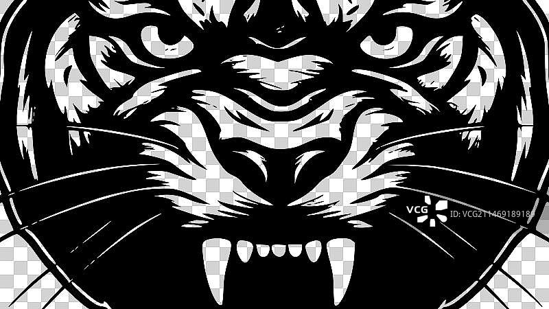 黑白美洲豹图片素材