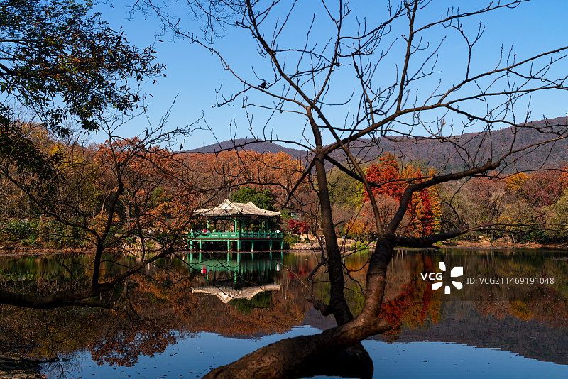 南京紫金山流徽榭秋色图片素材
