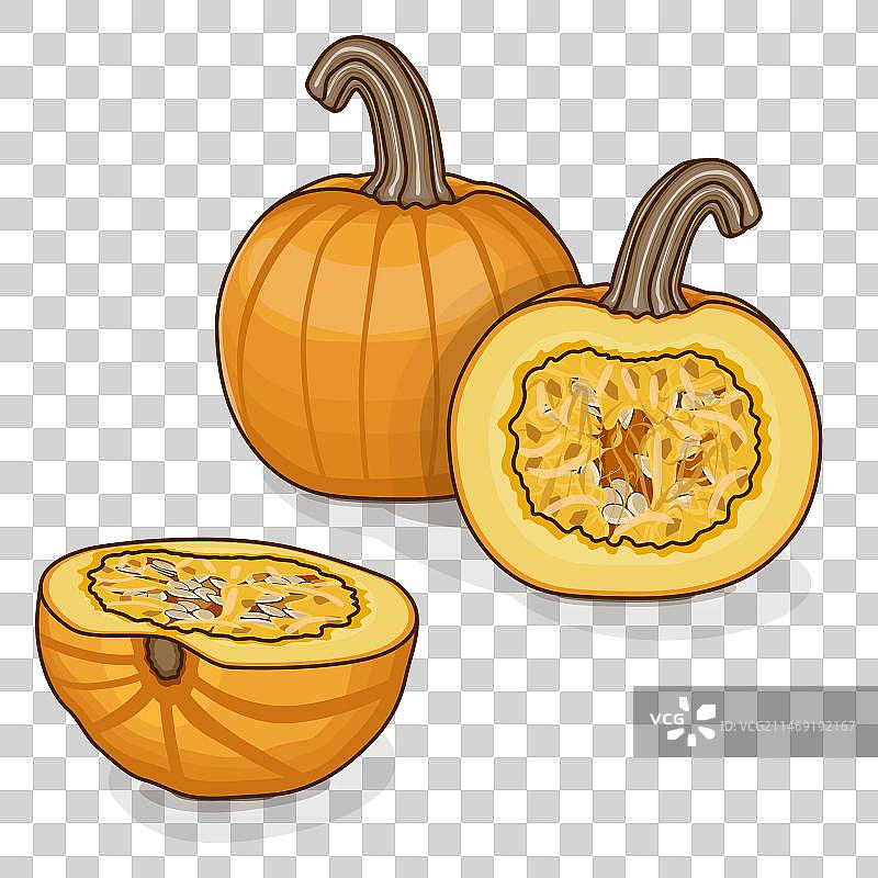 南瓜剪贴画图片素材