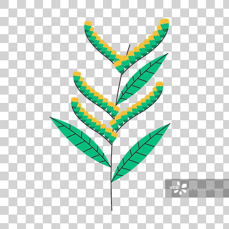 野生植物的茎和绿叶图片素材