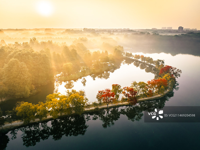 晨洒金陵-南京钟山前湖日出晨雾图片素材