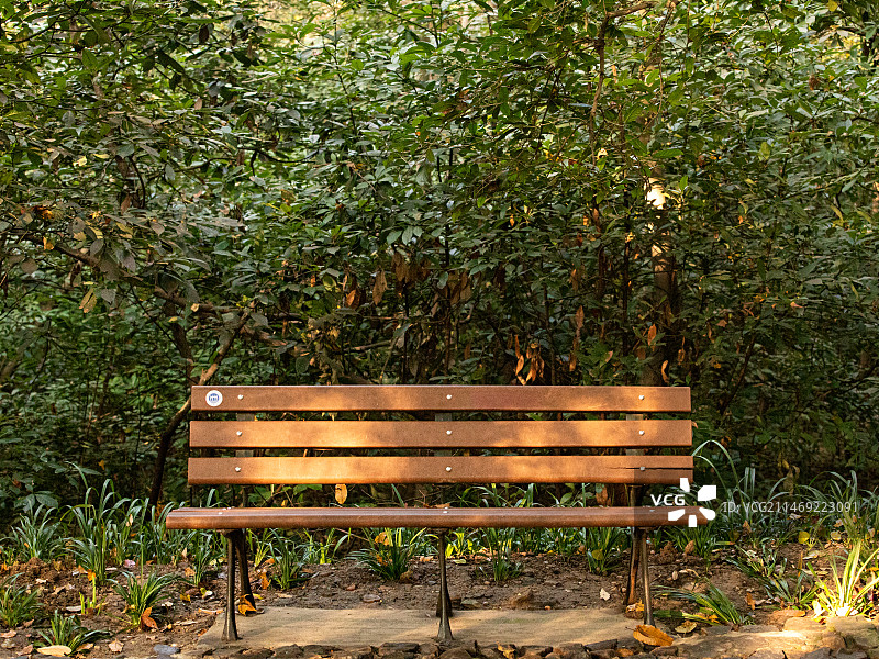 公园里的一张木质椅子图片素材