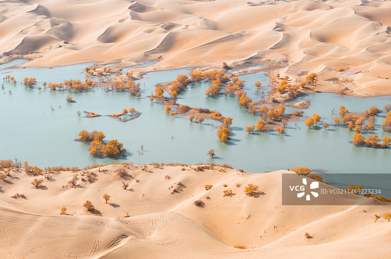 航拍秋天的新疆尉犁县葫芦岛风景图片素材