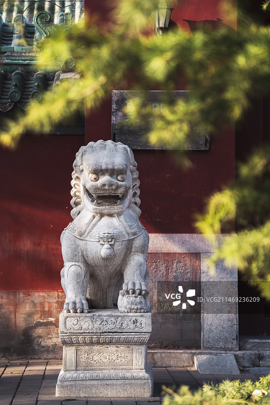 北京 日坛公园 具服殿石狮子图片素材