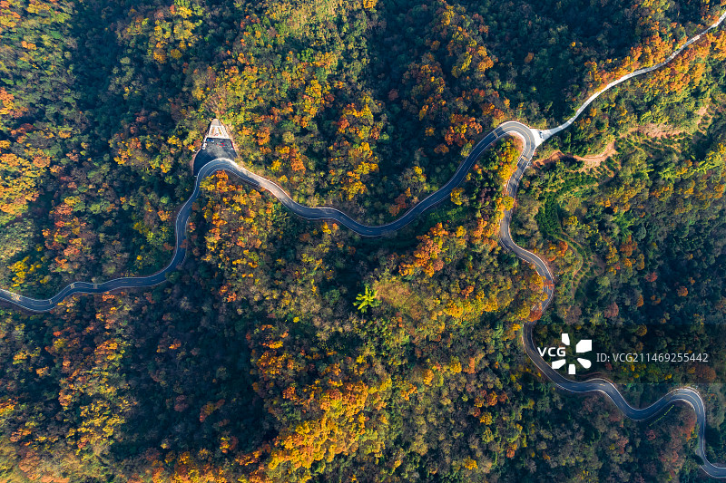 2023年12月9日，宜昌点军区木梓溪村秋色仍浓。图片素材