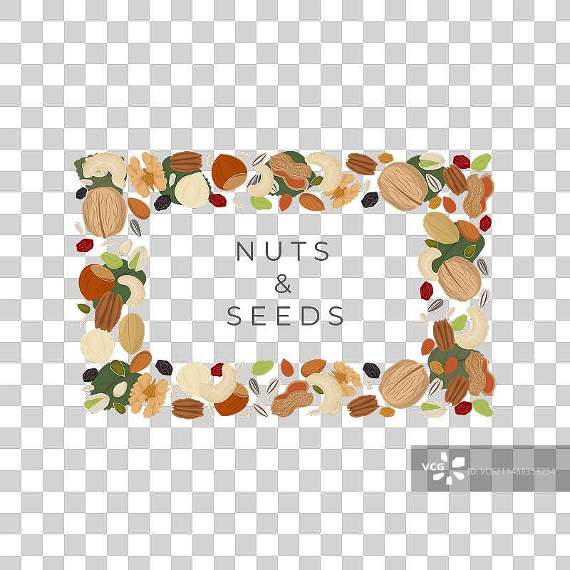 方形干果和种子图片素材