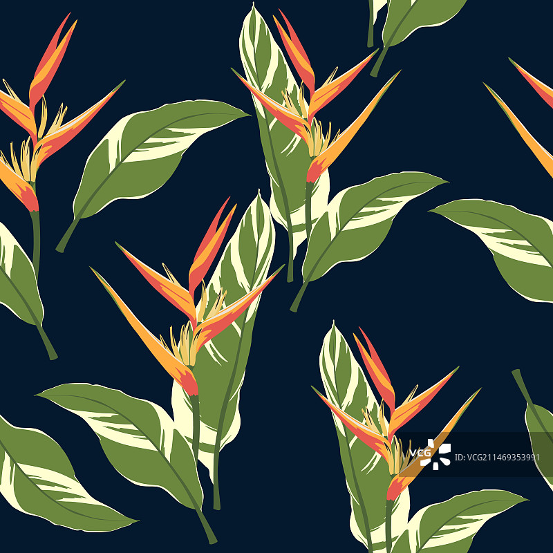 鲜艳热带植物无缝图案图片素材