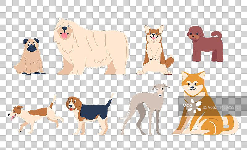 巴哥犬柴犬可蒙犬柯基犬杰克罗素梗图片素材