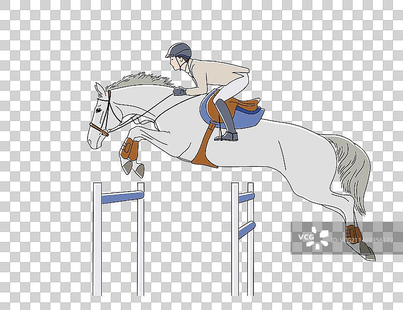 马术场地障碍赛图片素材