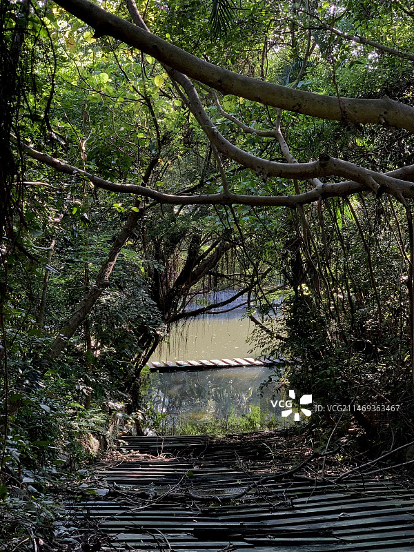 深圳燕晗山郊野公园图片素材