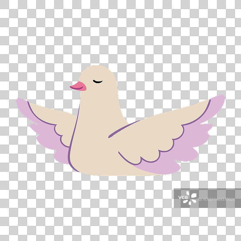 世界和平日鸽子概念图片素材