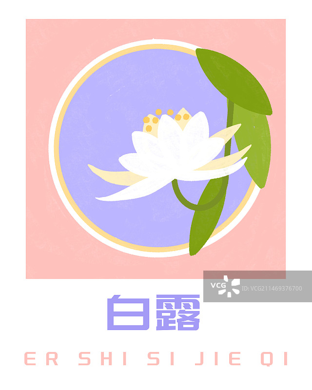 24节气白露之昙花插画海报图片素材