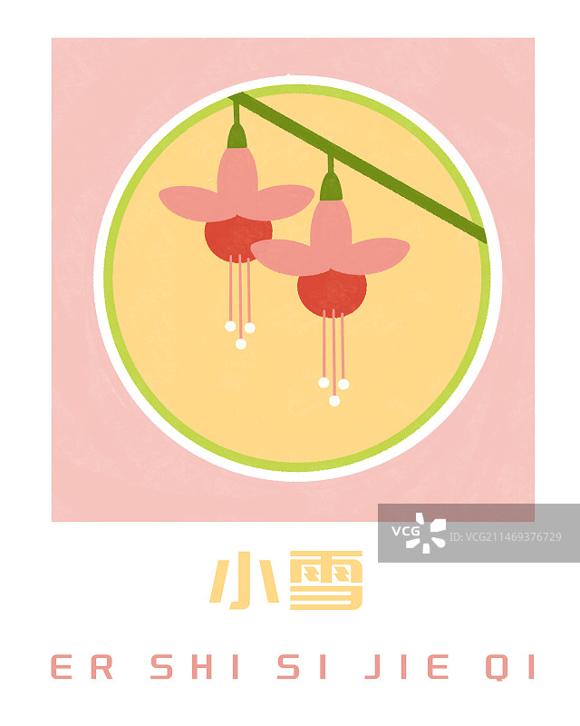 24节气小雪之灯笼花插画海报图片素材