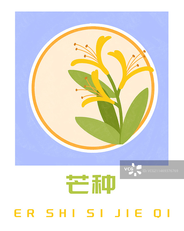 24节气芒种之金银花插画海报图片素材