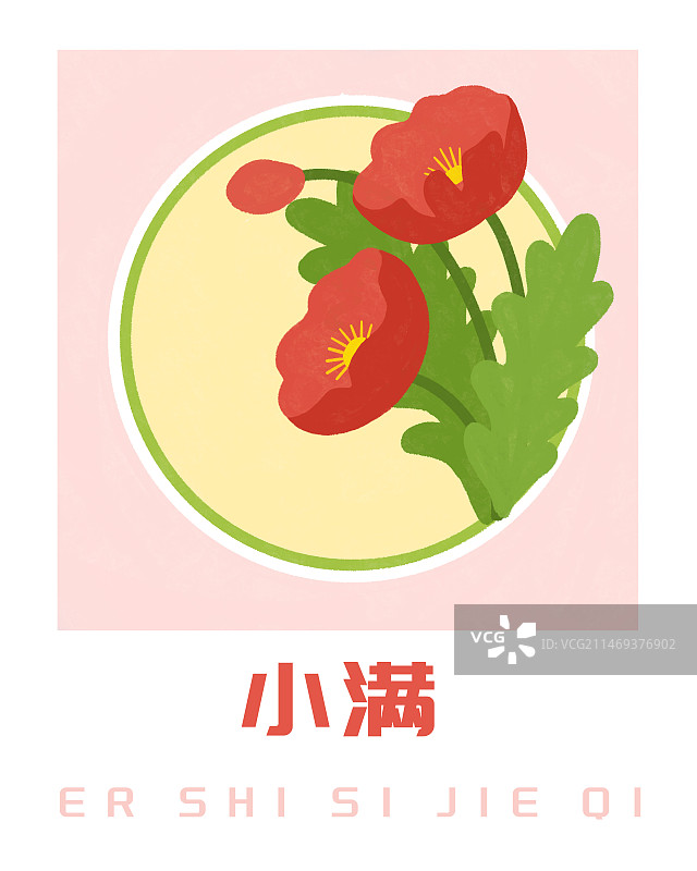 24节气小满之虞美人插画海报图片素材
