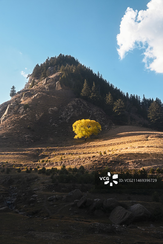 芦芽山风光图片素材