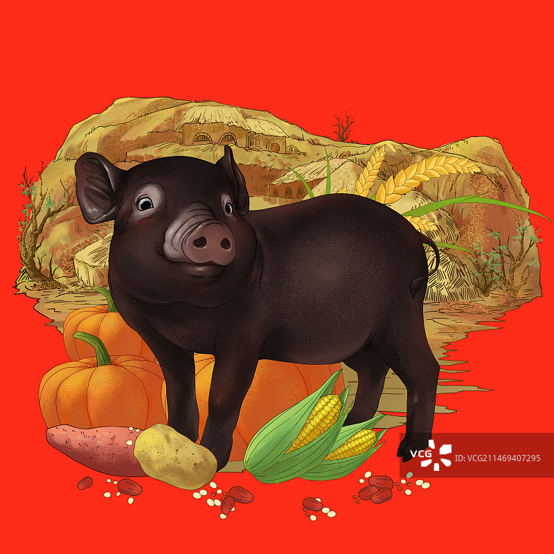黑年猪图片素材