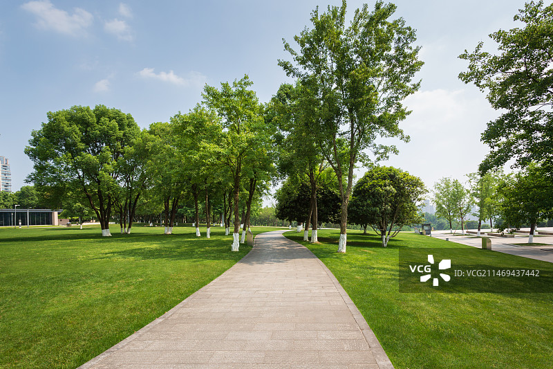 城市中央公园林荫大道图片素材