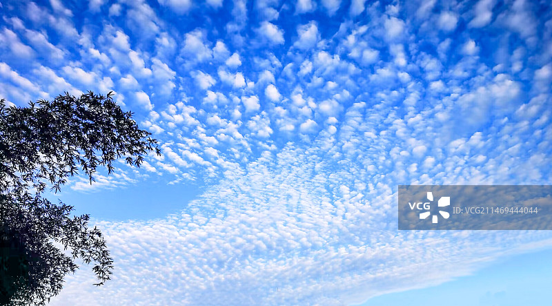 晴空万里 蓝天白云图片素材