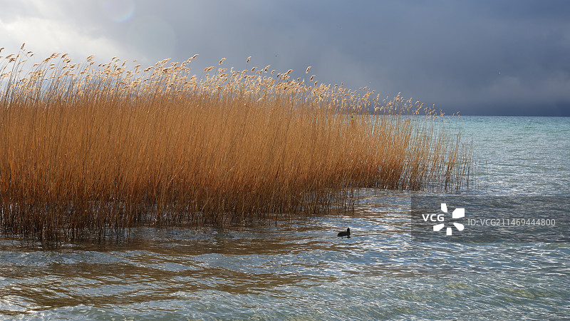 北马其顿-奥赫里德湖图片素材