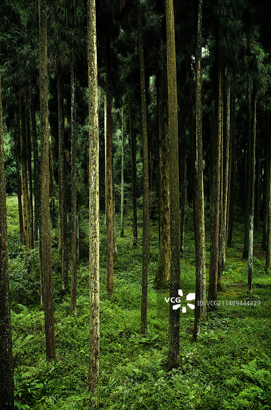 爬山日记图片素材