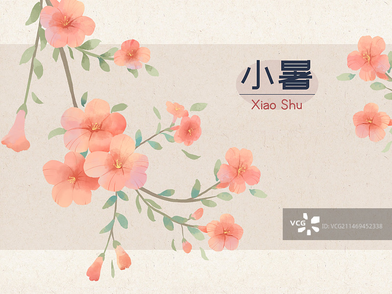 国风手绘二十四节气花卉植物海报小暑凌霄花图片素材