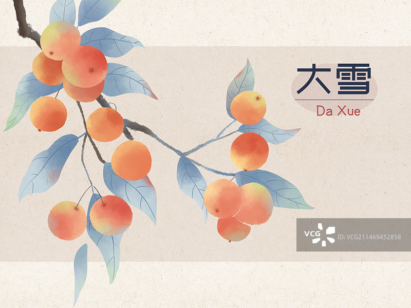国风手绘二十四节气花卉植物海报大雪海棠果图片素材