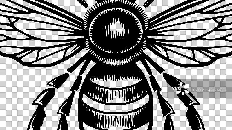 蜜蜂黑白矢量图图片素材